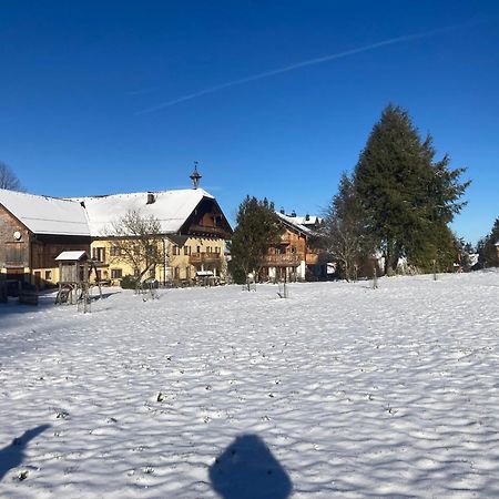 Obereggut Apartment Hof bei Salzburg Ngoại thất bức ảnh