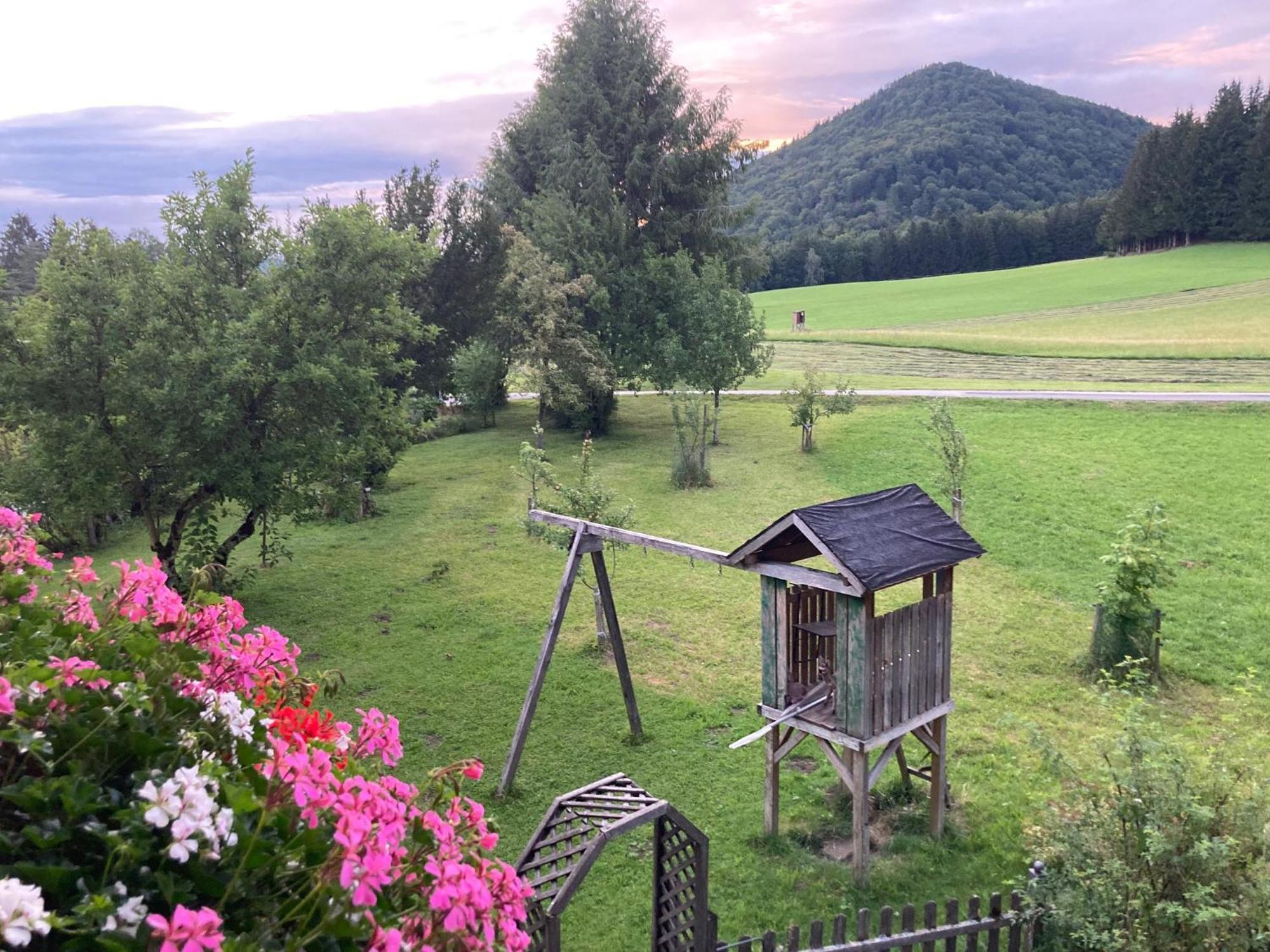 Obereggut Apartment Hof bei Salzburg Ngoại thất bức ảnh