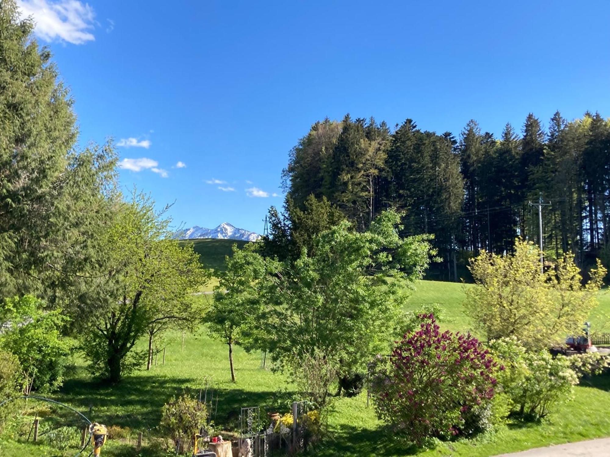 Obereggut Apartment Hof bei Salzburg Ngoại thất bức ảnh