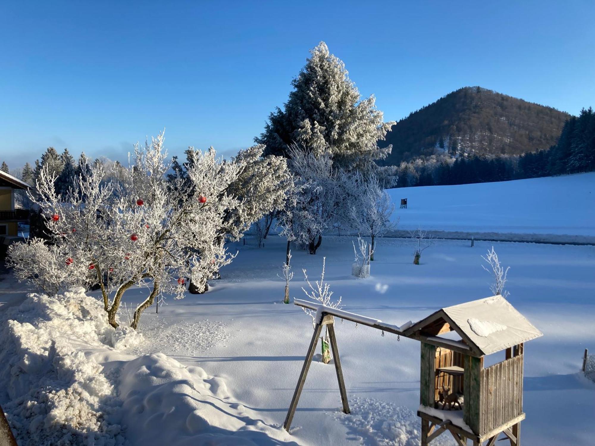 Obereggut Apartment Hof bei Salzburg Ngoại thất bức ảnh