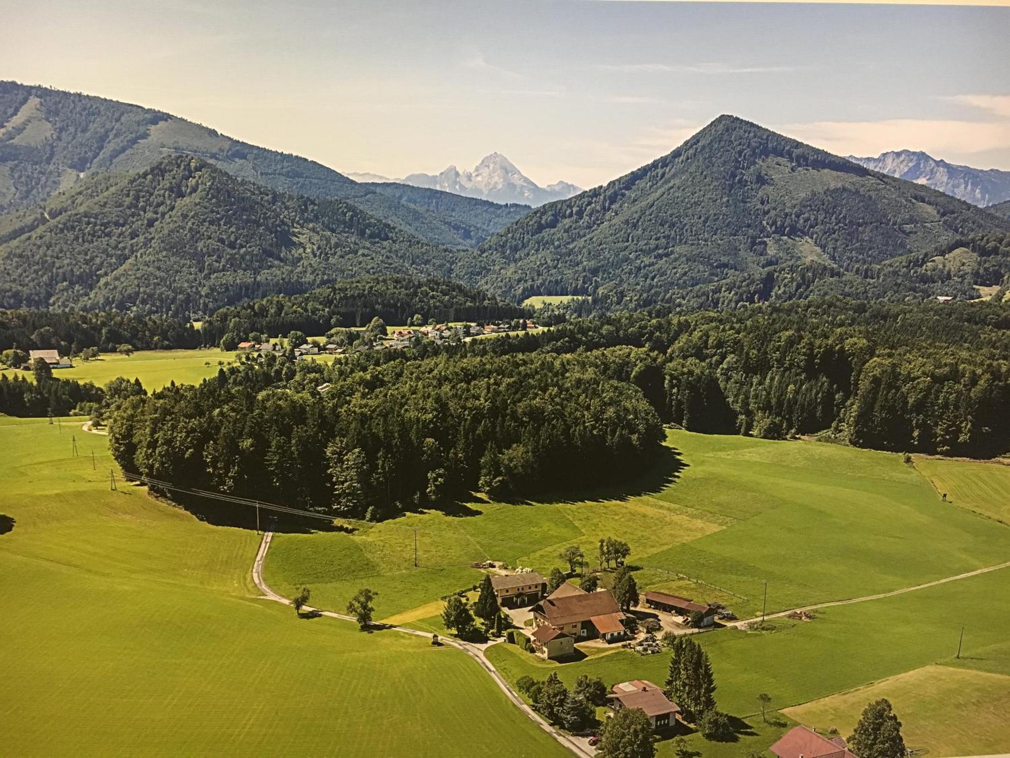 Obereggut Apartment Hof bei Salzburg Ngoại thất bức ảnh
