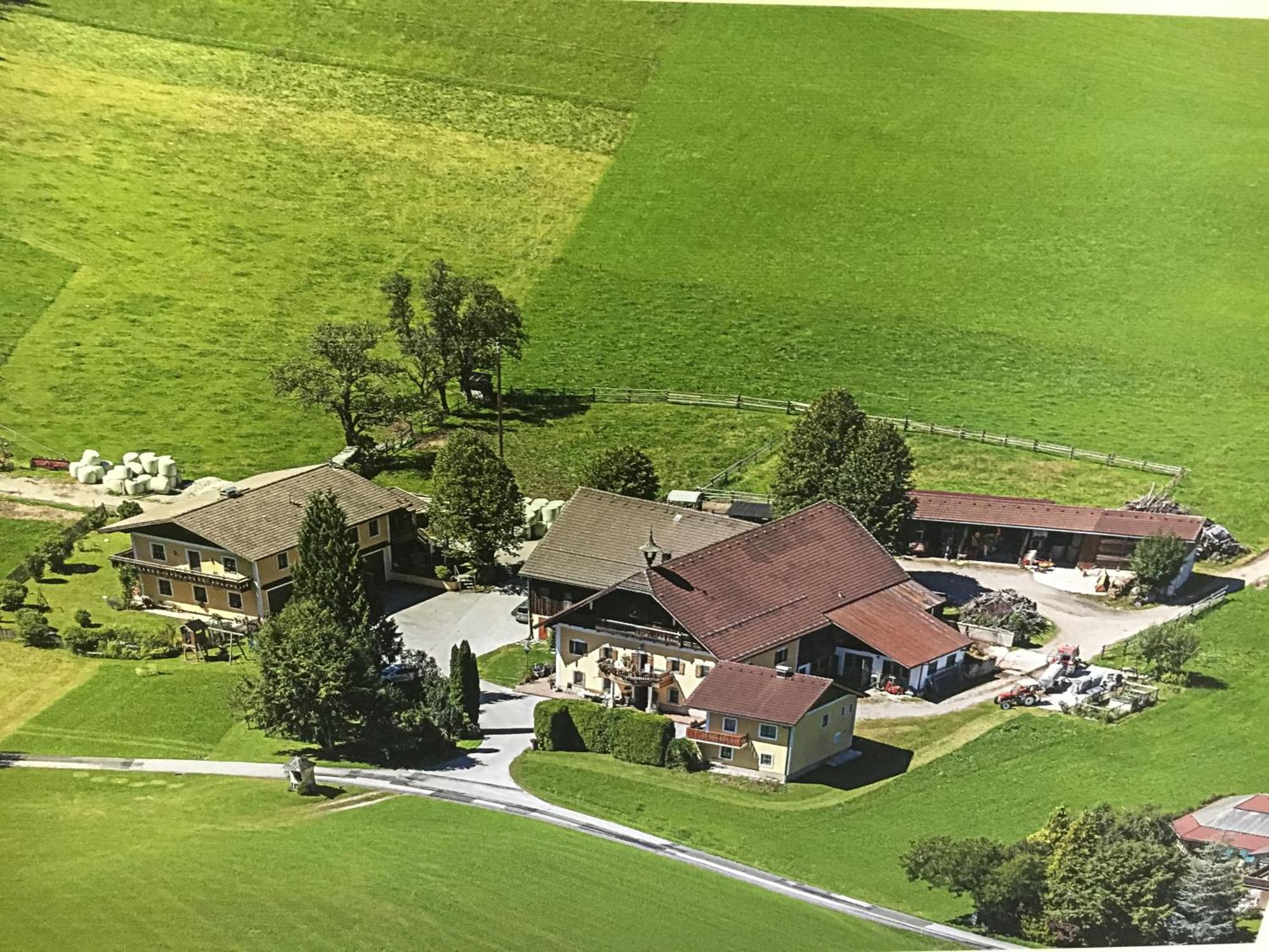 Obereggut Apartment Hof bei Salzburg Ngoại thất bức ảnh