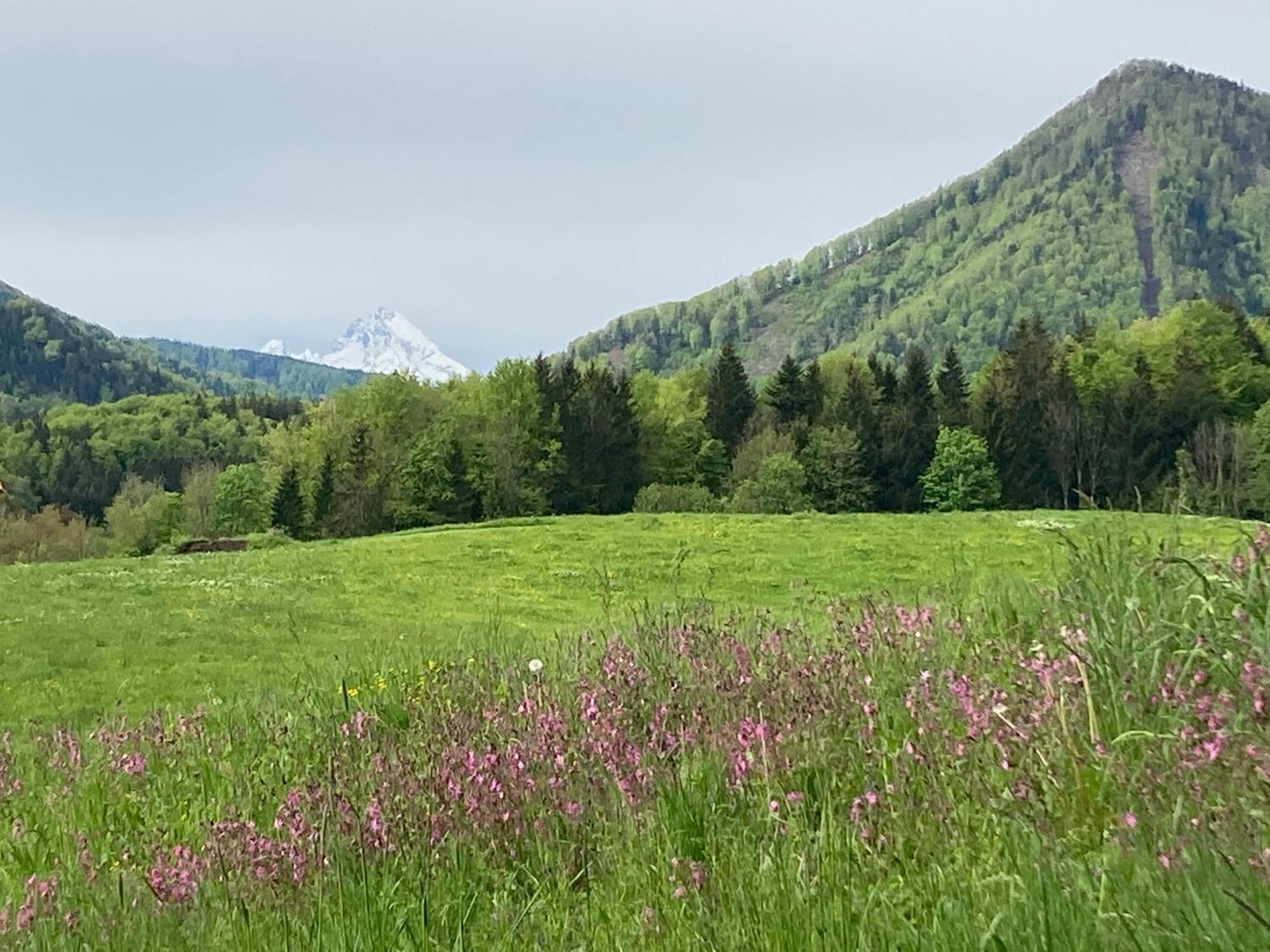 Obereggut Apartment Hof bei Salzburg Ngoại thất bức ảnh