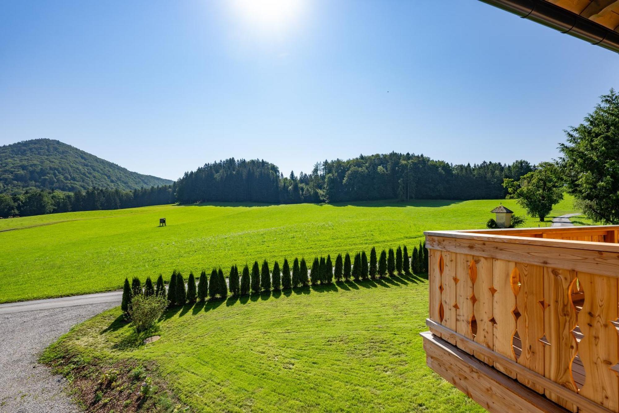Obereggut Apartment Hof bei Salzburg Ngoại thất bức ảnh