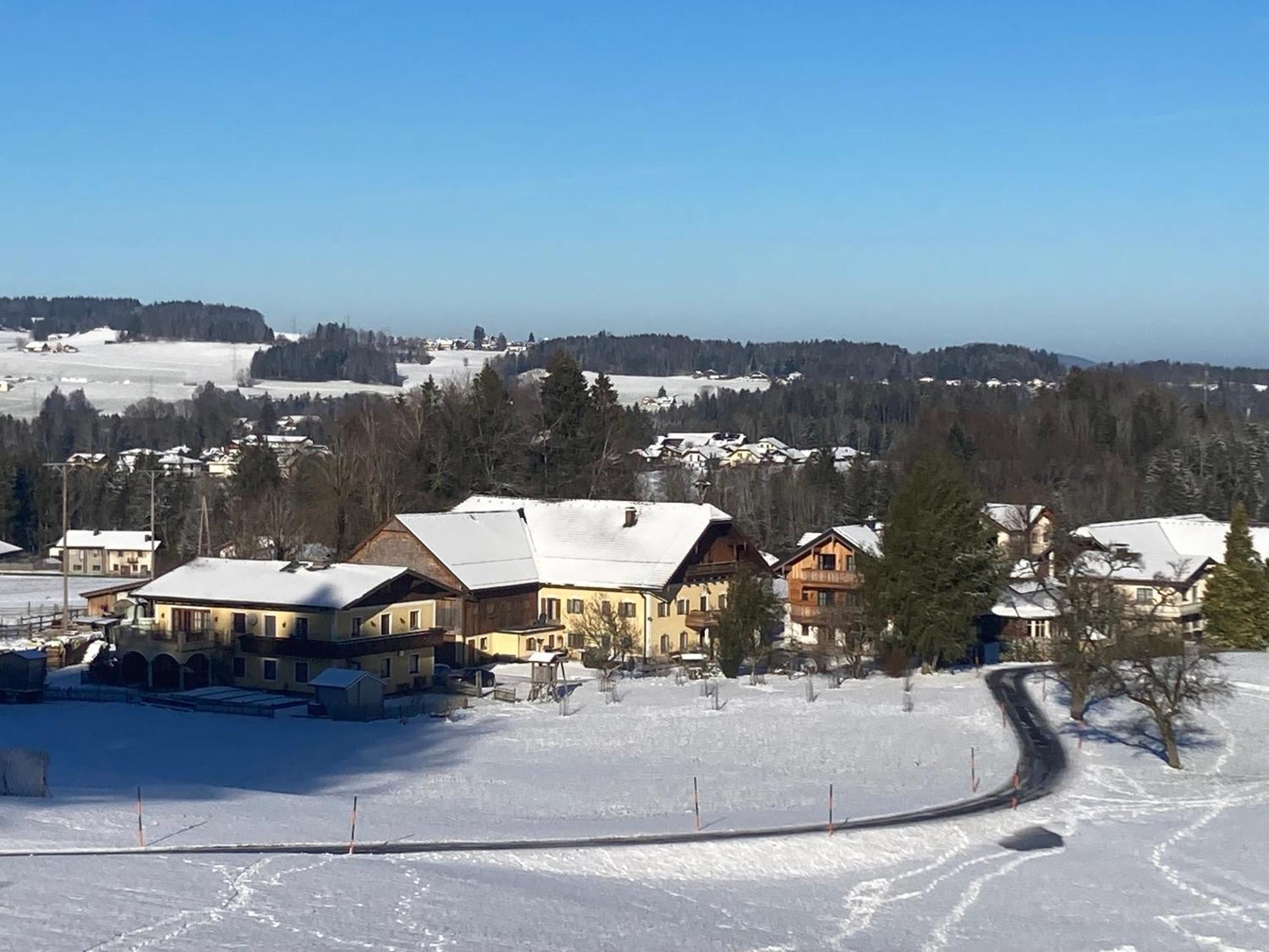 Obereggut Apartment Hof bei Salzburg Ngoại thất bức ảnh