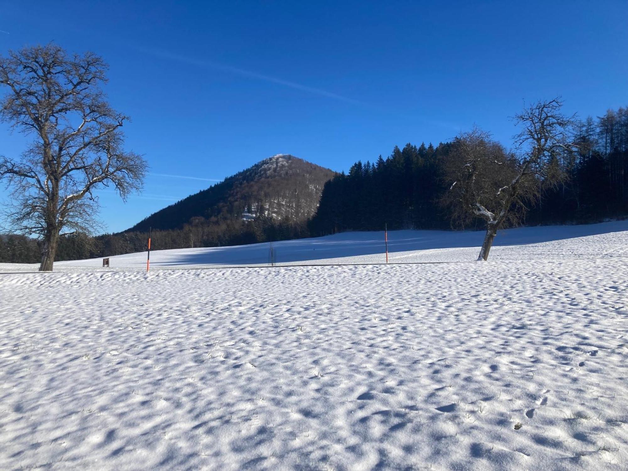 Obereggut Apartment Hof bei Salzburg Ngoại thất bức ảnh